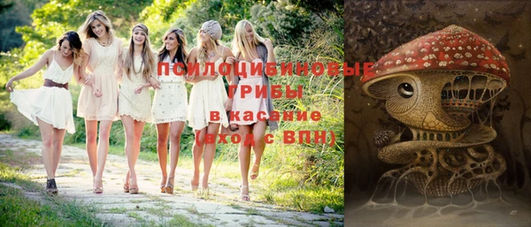 гидра Кулебаки