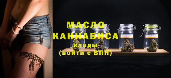 молекула духа Лабытнанги